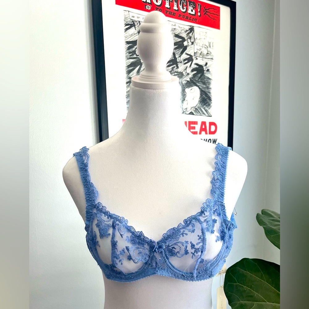 Journelle sheer lace bra